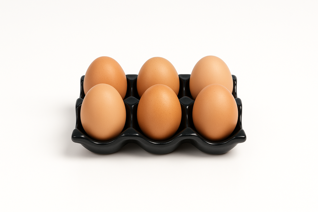 Egg Tray