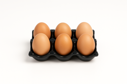Modern Ceramic Egg Tray – 6 Eggs – Black