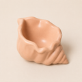 Concha Shell