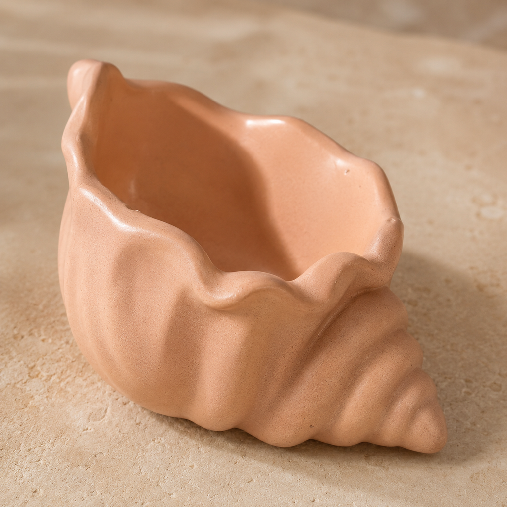 Concha Shell